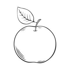 Ripe apple with leaves. Appetizing fruit for a healthy diet. Vector isolated illustration hand drawn. Black and white sketch. Picture coloring