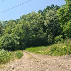 A dirt road with trees on the side with Sugarloaf Ridge State Park in the background