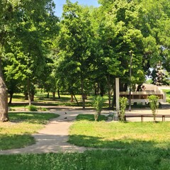 A path with trees and grass