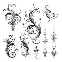 Set of Calligraphic Filigree Design Elements and Page Decorations