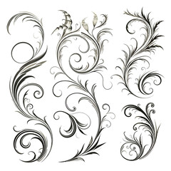 Set of Calligraphic Filigree Design Elements and Page Decorations