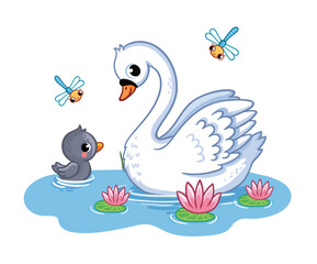 Swan with a chick swims in a pond. Vector illustration with birds.