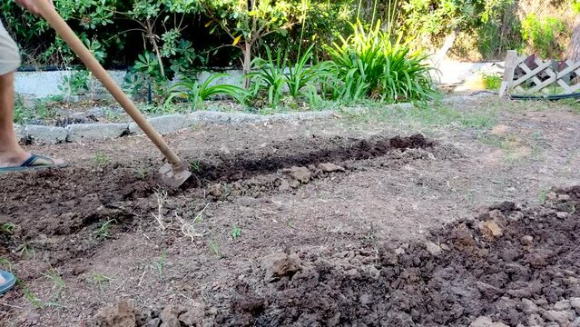 Farmer Digging the Compost Soil with a How Tool. Man Preparing the Ground for Planting Vegetable Garden. Organic Farming and Gardening Concept in 4K Video