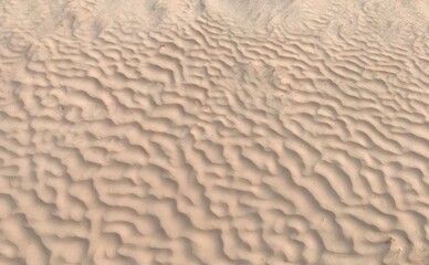 Obraz premium ripples in the sand 