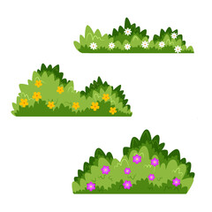 bush illustration design with blooming flowers