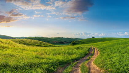 Picturesque winding path through a green grass field in hilly area in morning at dawn against blue sky with clouds. Natural panoramic spring summer landscape.