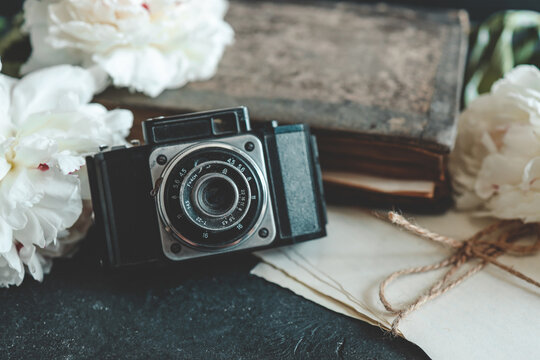 retro photo camera with book and fresh peony flowers