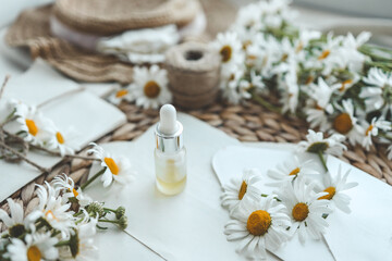 Fototapeta na wymiar Composition with chamomile flowers and cosmetic bottle of essential oil on white background, top view