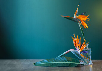 bird of paradise flowers in vase on green background