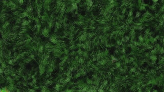 Abstract Colorful fur pattern animation