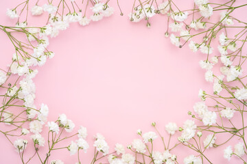 Baby's breath gypsophila round frame border on pink background with soft light. Top view close flatlay