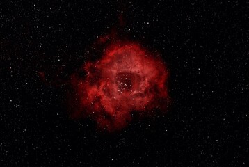 The Rosette Nebula