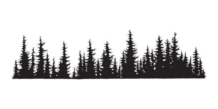 Hand drawn forest silhouette, Forest design, trees drawing, forest background, tatoo design, clipart
