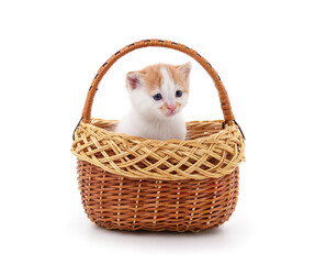Fototapeta na wymiar Little kitten in the basket.