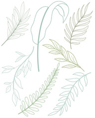 line art tropical leaves