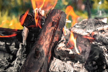 Burning firewood in a campfire, close-up. © jarizPJ