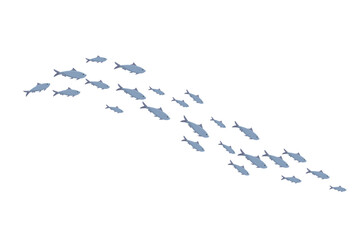 School of fish, group of many trouts swim in water od sea or ocean, blue fish shoal
