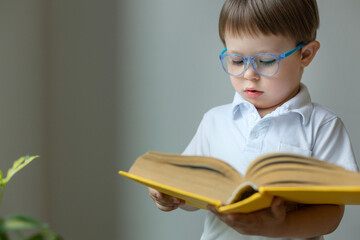 a little boy wearing glasses holds a thick book in his hands, a smart child