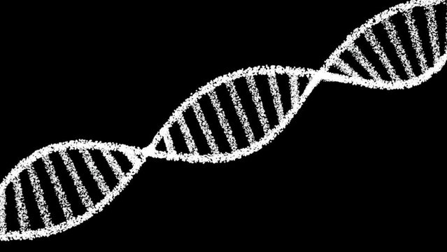 DNA Strand animation. Abstract White colored shiny dna molecule on futuristic digital illustration background. DNA molecules. Human DNA genome double helix spiral  animation.