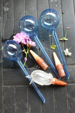 Auf einer Gartentruhe liegen mehrere Arten von Wasserspendern für Kübelpflanzen: Blaue Kugeln, Tonkegel und ein Wasserspender aus Plastik in Form eines Vogels.