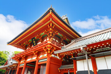 神奈川県鎌倉市　七夕シーズンの鶴岡八幡宮