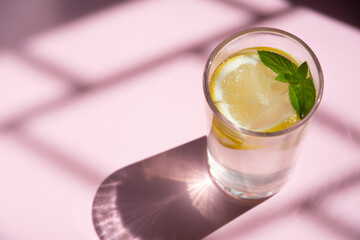 Glass of water with lemon and mint