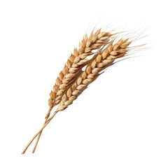 ear of wheat isolated on transparent background cutout - obrazy, fototapety, plakaty