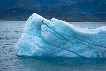 Ice floes near Columbia glaciers in Prince William Sound on the south coast of the U.S. state of...