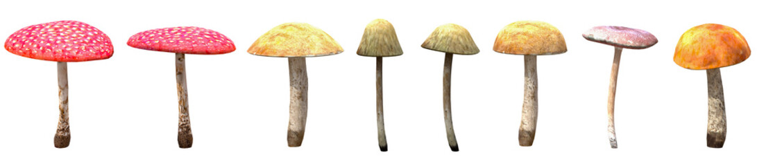Set of mushroom flowers with isolated on transparent background. PNG file, 3D rendering illustration, Clip art and cut out © EcoSpace