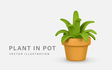 3d realistic cute green plant in pot in cartoon style isolated on light background. Vector illustration