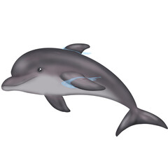 dolphin in the water, plastic bag, save the ocean