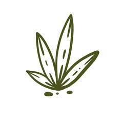 Minimalist Cactus Sand Elements West Boho Western Plant