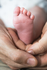 A baby's feet being hold by his father's hands