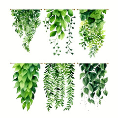 Green vine climbing plant with green leaf set, flat vector illustration isolated on white background. Green vines plant decorative © IMRON HAMSYAH