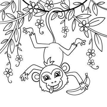 A funny cartoon monkey hangs on a branch with a banana. Black and white linear drawing. For children's design of coloring books, prints, posters, postcards, stickers, etc. Vector