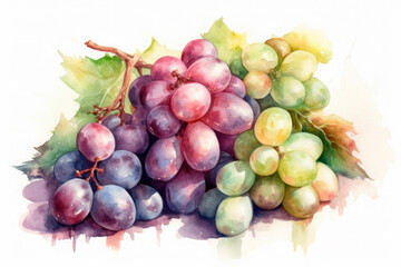Watercolor painting of some grapes on a white background. Generative AI.