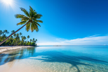 Fototapeta na wymiar Beautiful tropical beach sea ocean with coconut and other tree around white cloud on blue sky photography