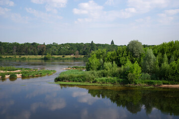 Fototapeta na wymiar Island of the Saint-Mesmin National Nature Reserve in Loire valley