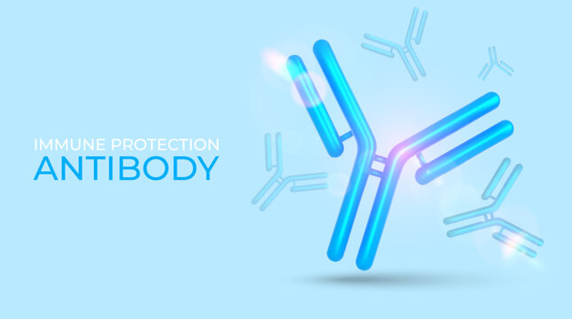 Antibody immunoglobulin 3D molecule. Protective proteins. Medical banner. Vector illustration.