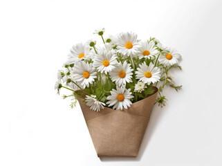 White daisies inside an open paper envelope on a white background