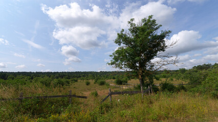 Fototapeta na wymiar Chanfroy plain in Fontainebleau forest. Arbonne-la-Forêt village