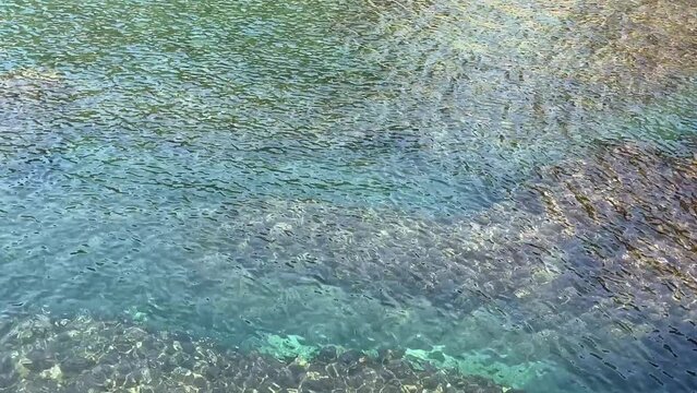 Clear turquoise sea water ripples background.