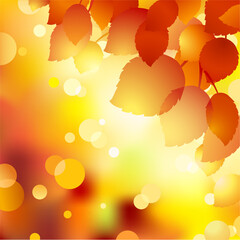 Abstract autumn background with tree leaves bubbles and flare sunlight for cover, wallpaper