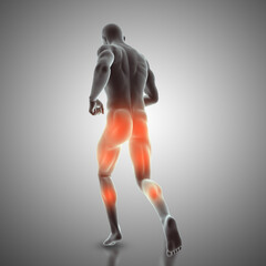 3D render of a male figure in running pose showing rear muscles used