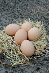 closeup the bunch pink brown hen eggs with nest soft focus natural grey brown background.