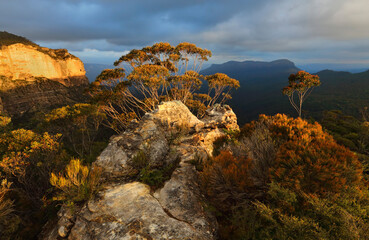 Obraz premium Warm golden sunlight across the rocky escarpment texture and colour in the native bushes and gum trees. Blue Mountains views to Mount Solitary under a moody sky