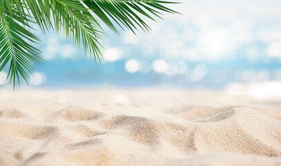 Fototapeta na wymiar Beautiful sandy beach with blur sky and tree summer background