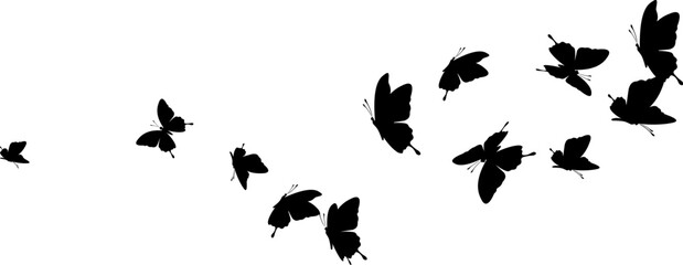 Flying butterflies. Vector decoration element.