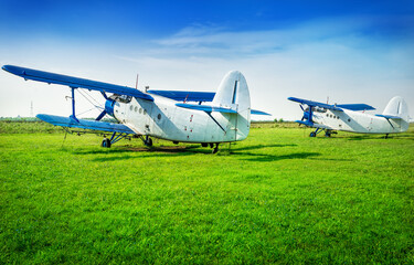 biplanes on a meadow are waiting for the next flight
