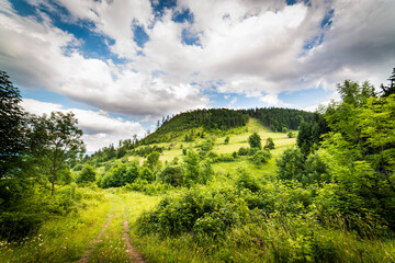 Gomolnik Maly - Suche Mountanins, Poland